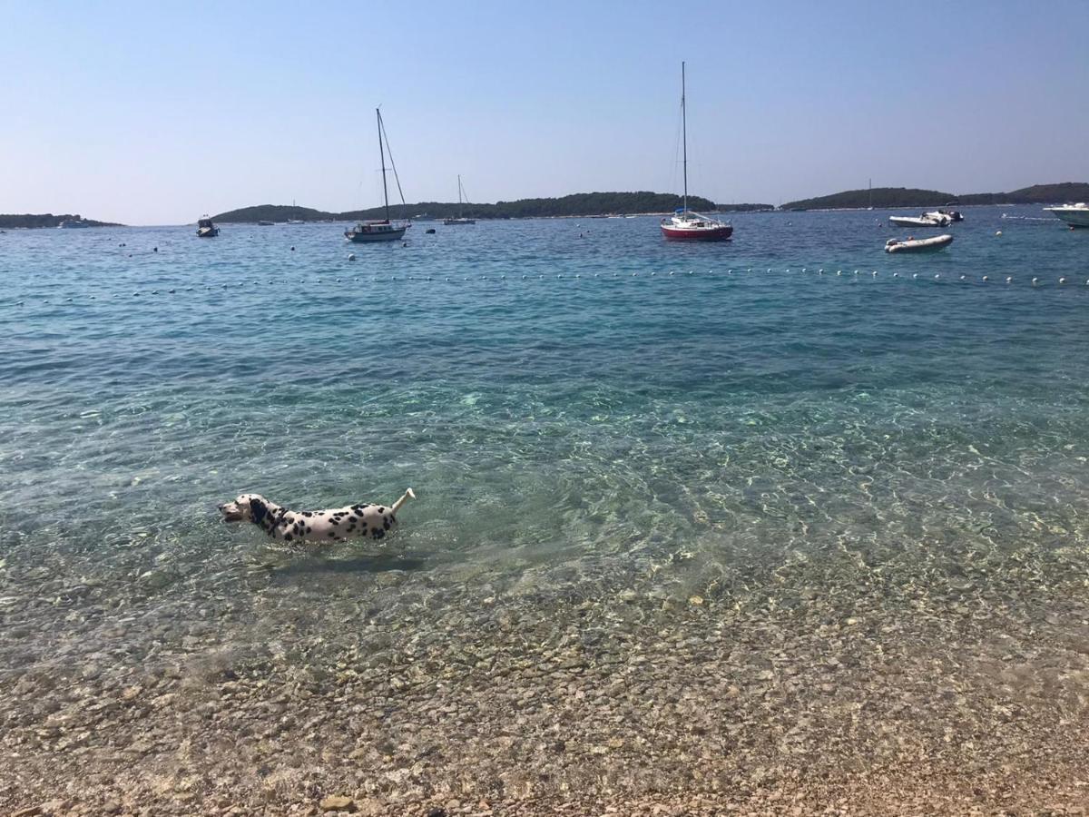 Apartmani Marinka Viskovic Hvar Town Buitenkant foto