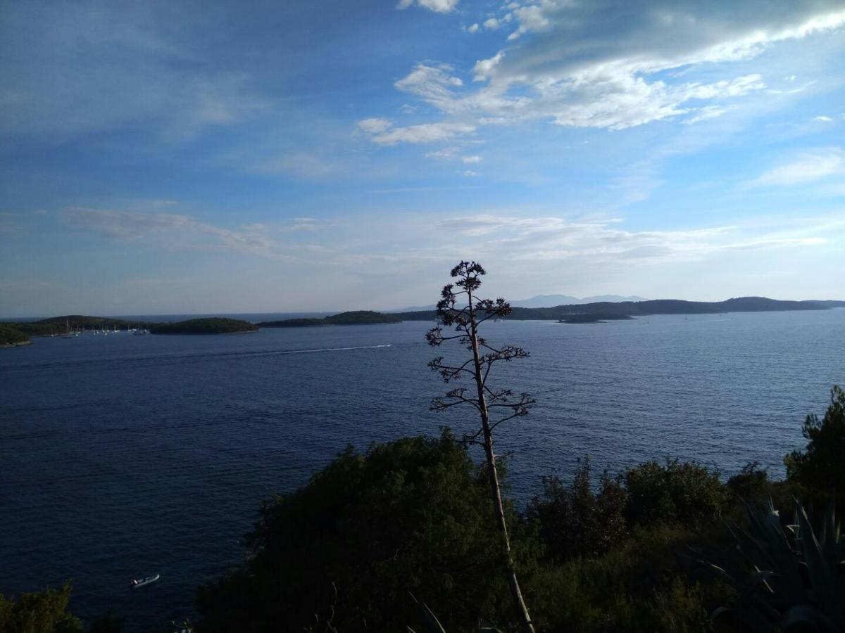 Apartmani Marinka Viskovic Hvar Town Buitenkant foto